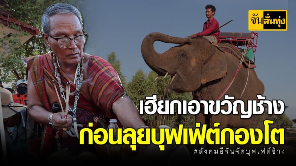 ขวัญเอ้ยขวัญมา บายศรีเรียกขวัญช้าง คล้องฝ้ายมัดงาม ก่อนลุยบุฟเฟ่ต์กองโต