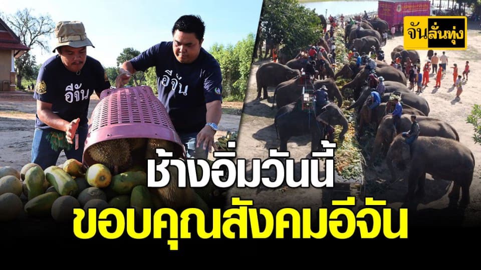 ช้าง 45 เชือก กินอิ่มท้องมีความสุข กราบน้ำใจสังคมอีจัน