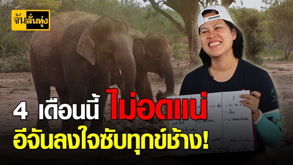 ควาญช้างรวมทุกข์ หาทางเเก้ทุกข์! อีจันลงใจ ซับทุกข์ให้ยาวๆ