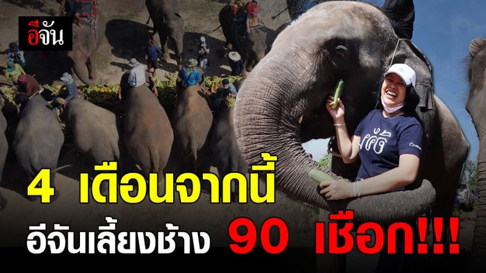 จากนักข่าวอาชญากรรม สู่เเม่นมช้าง! #อีจันช่วยช้างตกงาน