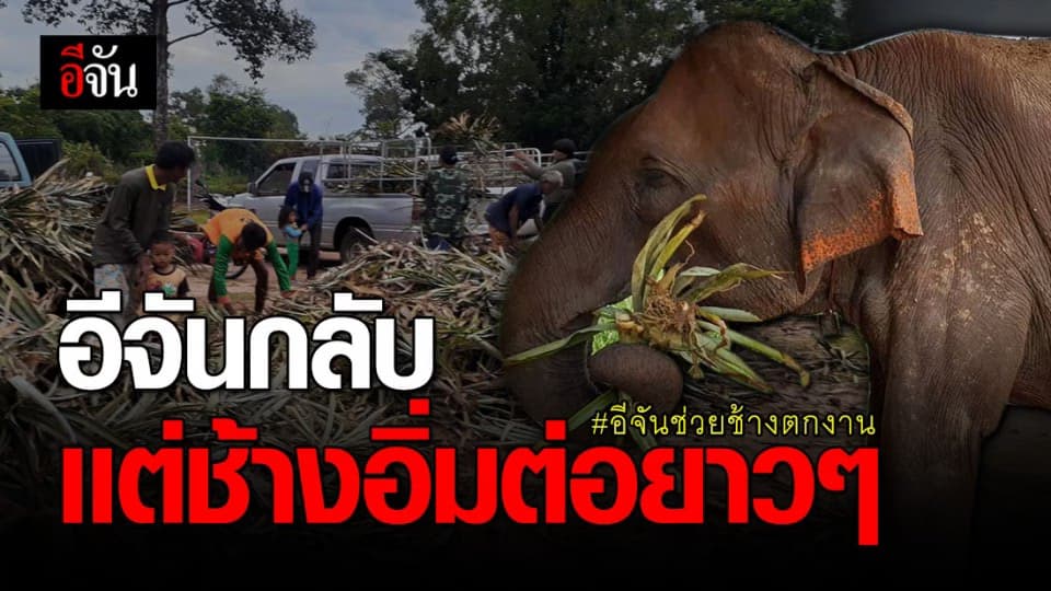 รถบรรทุกอาหารล็อตใหญ่มาถึงตามนัด อีจันไม่อยู่ควาญสานต่อเอง