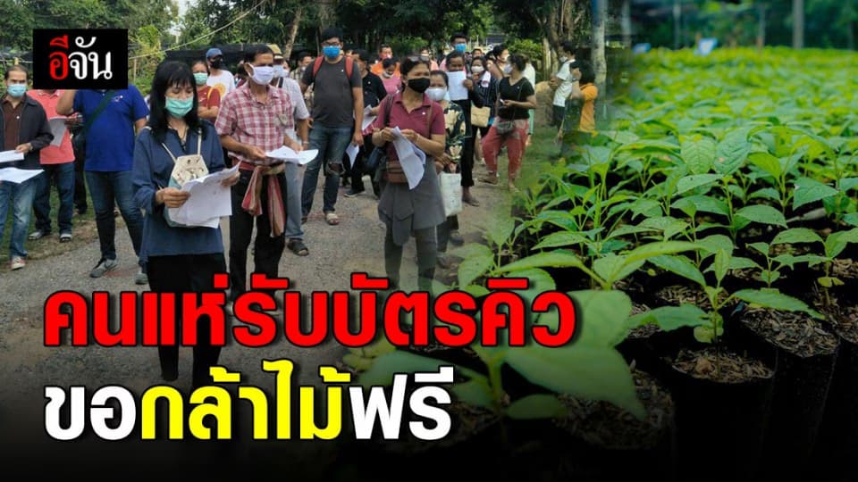 ปชช. แห่รับบัตรคิวขอกล้าไม้ฟรี เพิ่มพื้นที่สีเขียวให้ประเทศ
