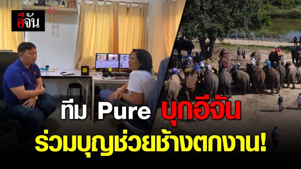 ทีมผู้บริหาร Pure หอบน้ำใจ ร่วมบุญช้างตกงานสุรินทร์กับเพจอีจัน