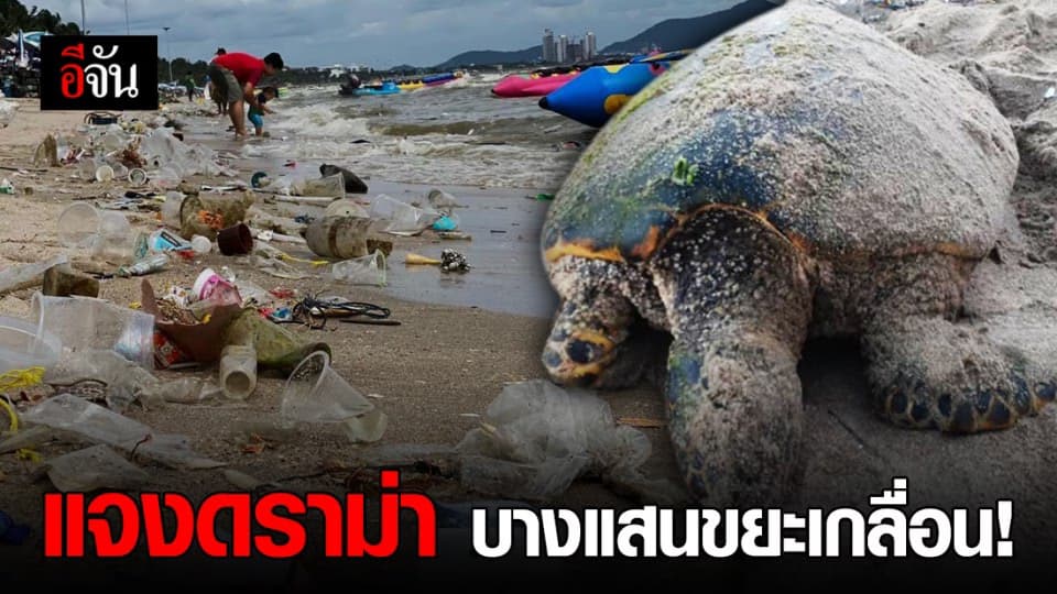 นายกฯ บางแสน แจง ขยะเต็มหาด กับปัญหาที่แก้ไม่จบ!