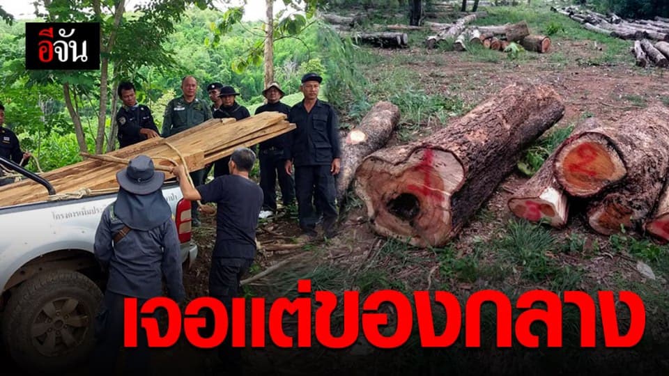 ปกครองเเพร่ ยึดไม้สักในป่าสงวน