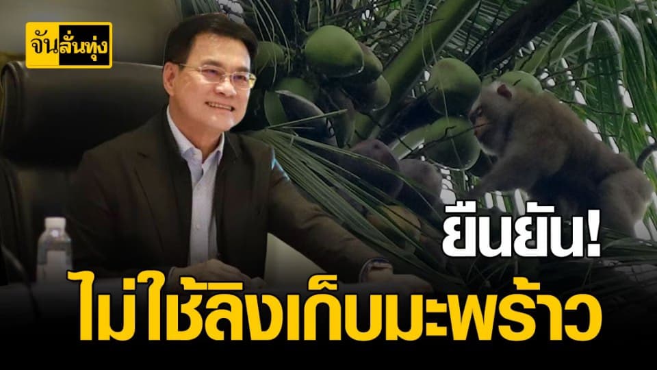 ผู้ผลิตอุตสาหกรรมมะพร้าวของไทย ยืนยัน ! ไม่ได้ใช้แรงงานลิงเก็บมะพร้าวส่งออก