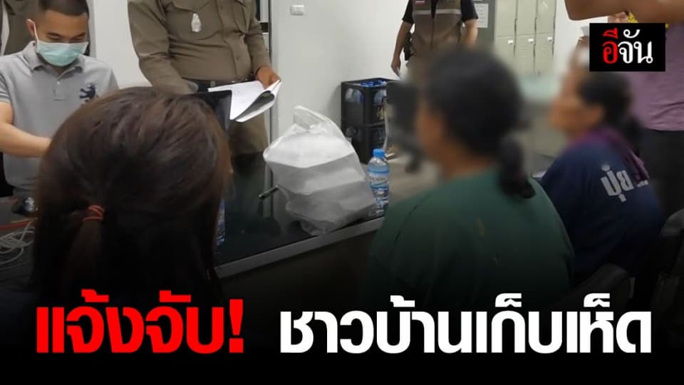 หัวหน้าเพาะชำกล้าไม้ ยืนยัน!!! ดำเนินคดีชาวบ้าน ลักลอบเก็บเห็ดโดยไม่ได้รับอนุญาต