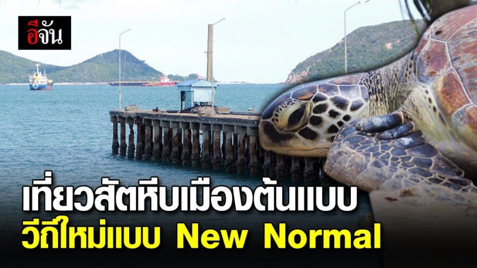 อีจันบุกสัตหีบ ชมทะเลสวยเที่ยวศูนย์อนุรักษ์เต่า แบบ New Normal