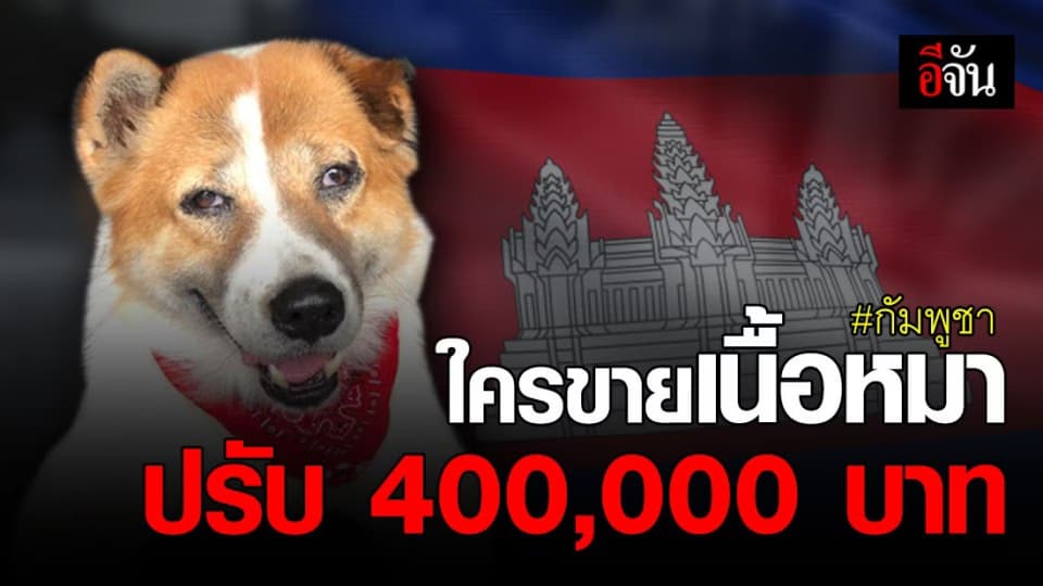 กัมพูชาเอาจริง! ใครฝ่าฝืนกฎ ขายเนื้อหมา เจอปรับ 400,000 บาท