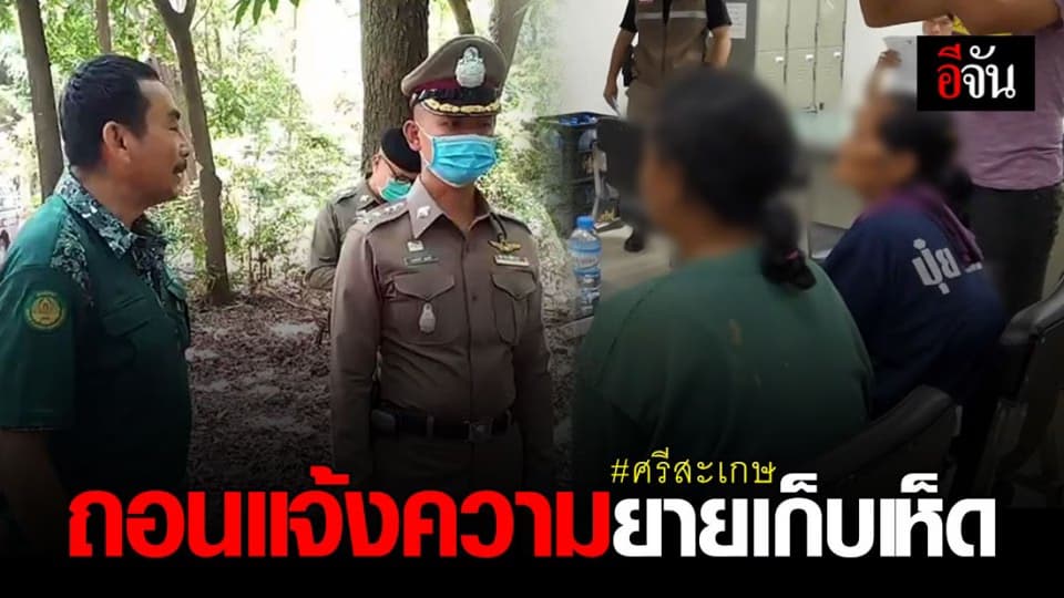 ยายเก็บเห็ดรอดแล้ว! หัวหน้าเพาะชำกล้าไม้ ขอถอนแจ้งความ