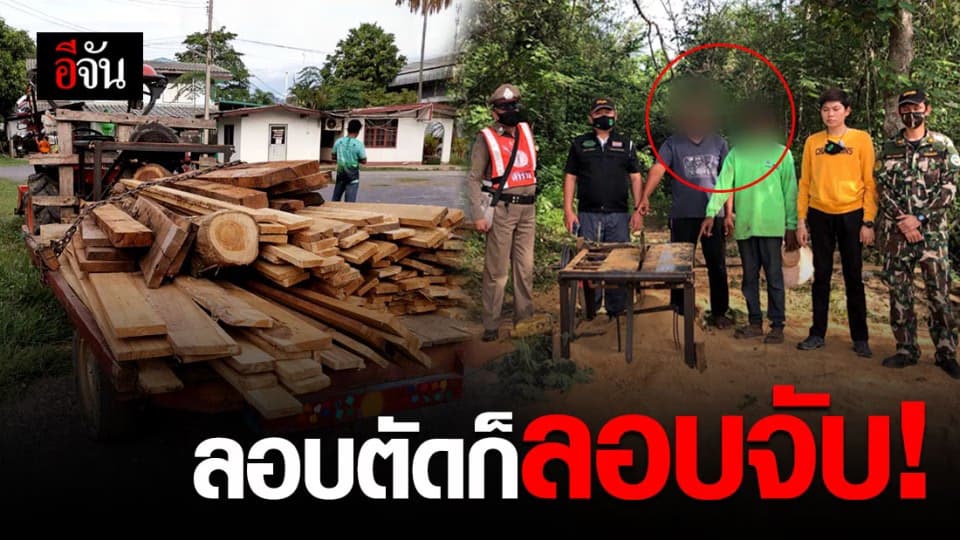 ไม่รอด! พญาเสือบุกจับคนลักลอบตัด-แปรรูปไม้ประดู่ ไม้สัก
