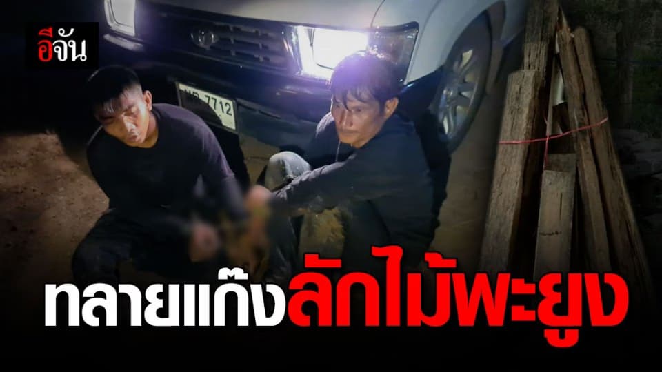 ศปก.พป ร่วม พยัคฆ์ไพร ล้างบางโจรขโมยไม้พะยูงทั่วอีสาน