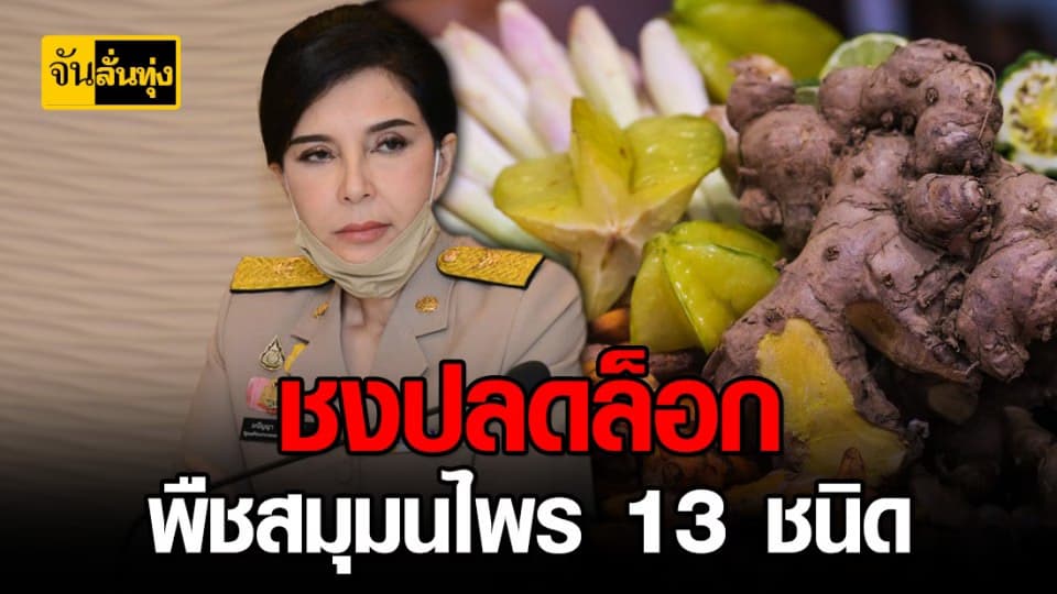 “ มนัญญา ” เล็งปลดล็อกพืช 13 ชนิด ออกจากวัตถุอันตรายชนิดที่ 2