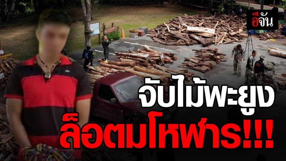 พญาเสือ จับไม้พะยูงล็อตใหญ่ 40 ล้านบาท ขยายผลจาก ขสป.ห้วยศาลา