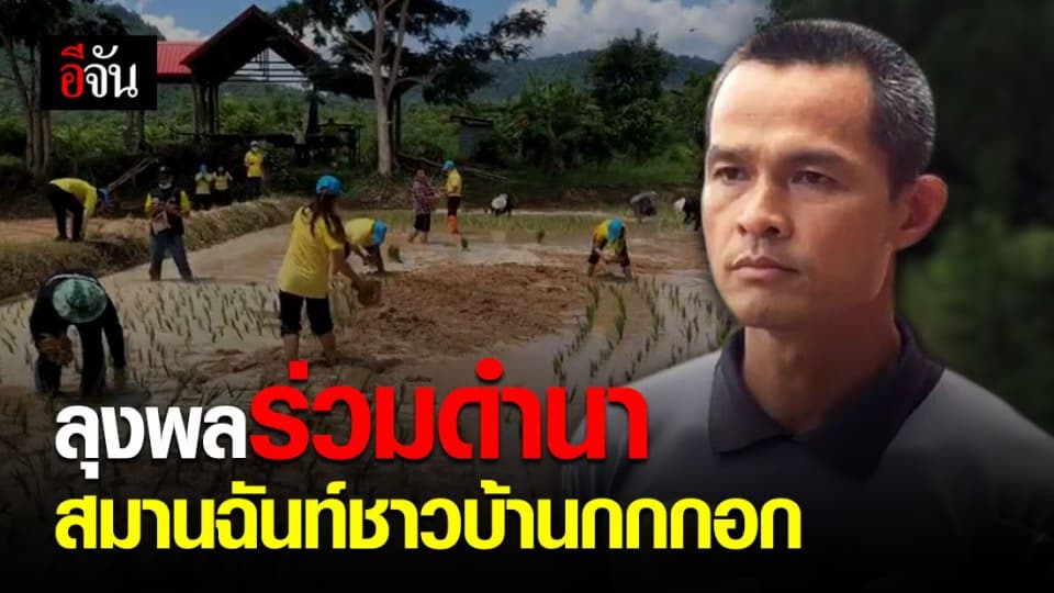 ลุงพลร่วมดำนากับชาวบ้านกกกอก สมานฉันท์สร้างความปรองดอง