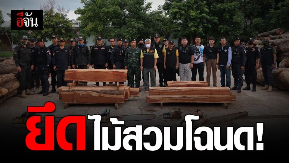 พญาเสือแท็กทีมพยัคฆ์ไพร! ค้นโรงไม้ในพื้นที่ จ.อุบลราชธานี