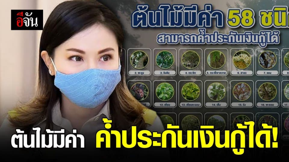 รัฐบาลประกาศ ต้นไม้มีค่า 58 ชนิด ค้ำประกันเงินกู้ได้