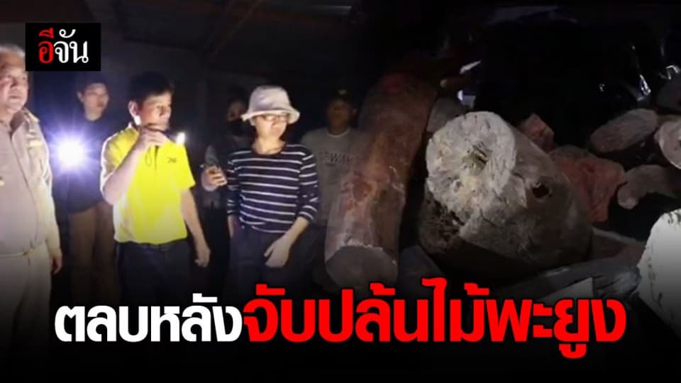 เหิมหนัก! คนร้ายขโมยพะยูงของกลาง ใน ขสป.ห้วยศาลา