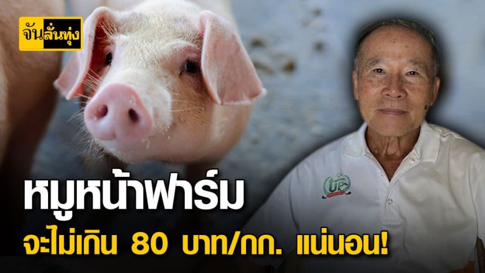 สมาคมผู้เลี้ยงสุกรภาคเหนือ สัญญา ราคาหมูหน้าฟาร์มจะไม่เกิน 80 บาท แม้ต้นทุนสูง