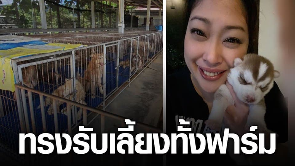 พระองค์เจ้าสิริภาฯ ประทานความช่วยเหลือฟาร์มสุนัข หลังปิดกิจการ