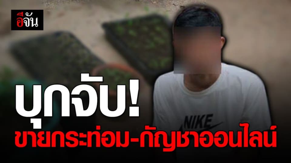 ป.ป.ส. จับหนุ่มโพสต์ขายกระท่อม-กัญชา ผ่านเฟซบุ๊ก