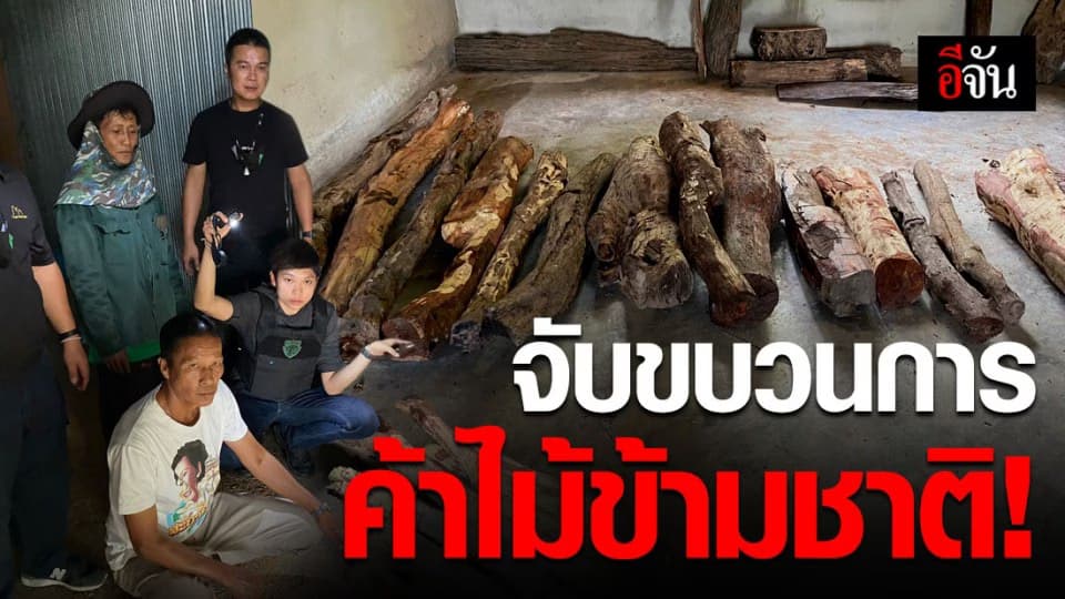 พญาเสือลุยเต็มสูบ! กวาดล้างขบวนการค้าไม้ข้ามชาติในภาคอีสาน