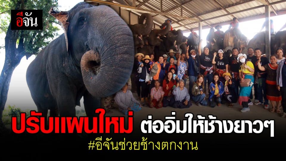 ทีมลงพื้นที่อีกครั้ง ปรับเเผนเตรียมหาที่ปลูกหญ้า ช่วยช้างอิ่มช่วยควาญมีรายได้