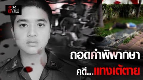 ถอดคำพิพากษา “คดีแทงเต้ตาย”