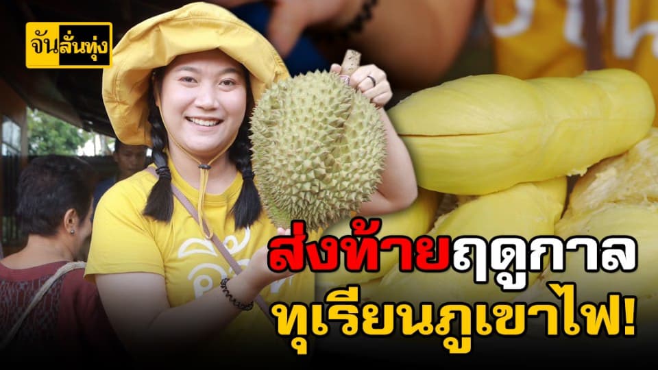 บุกล้งทุเรียนภูเขาไฟศรีสะเกษ ส่งท้ายฤดูการเเห่งความฟิน