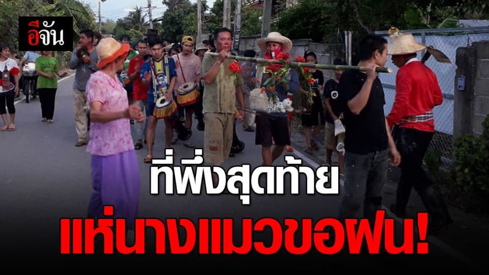 เกษตรลำปางระทมภัยแล้ง จัดงานแห่นางแมวขอฝนเป็นทางออกสุดท้าย