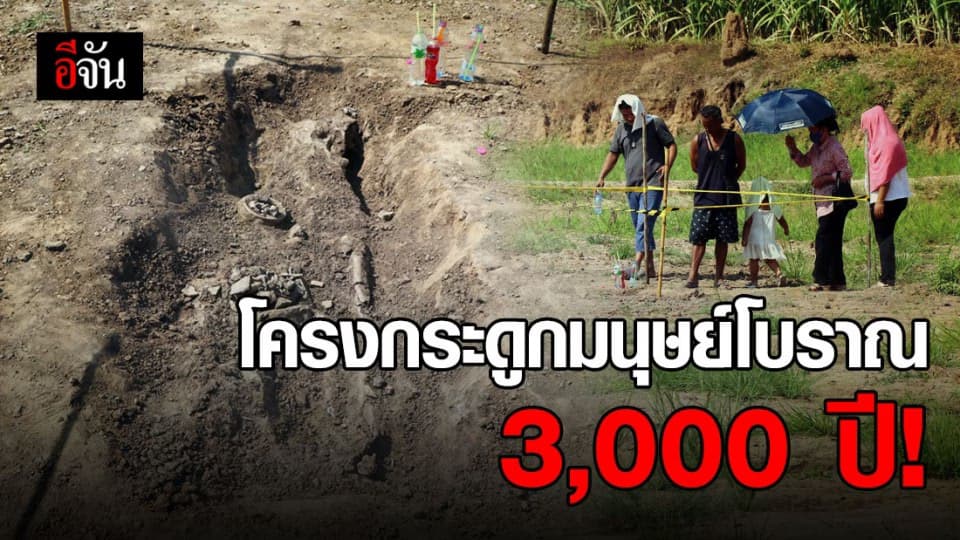 ฮือฮา! พบโครงกระมนุษย์โบราณกลางนาชาวบ้าน จ.อ่างทอง