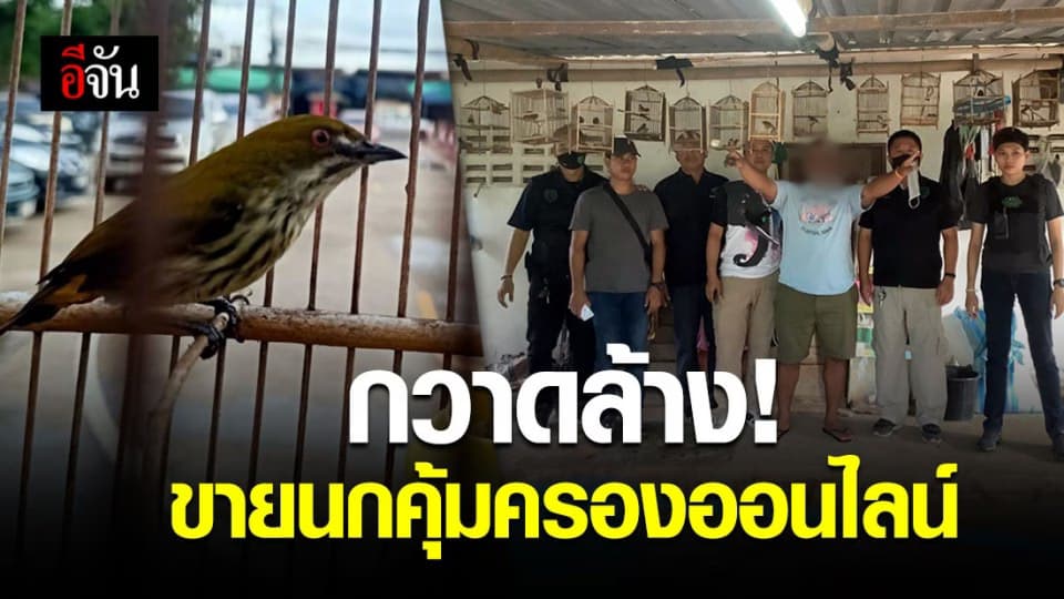 พญาเสือจับอีก! สัตว์ป่าคุ้มครองออนไลน์ ยึดนก 33 ตัว