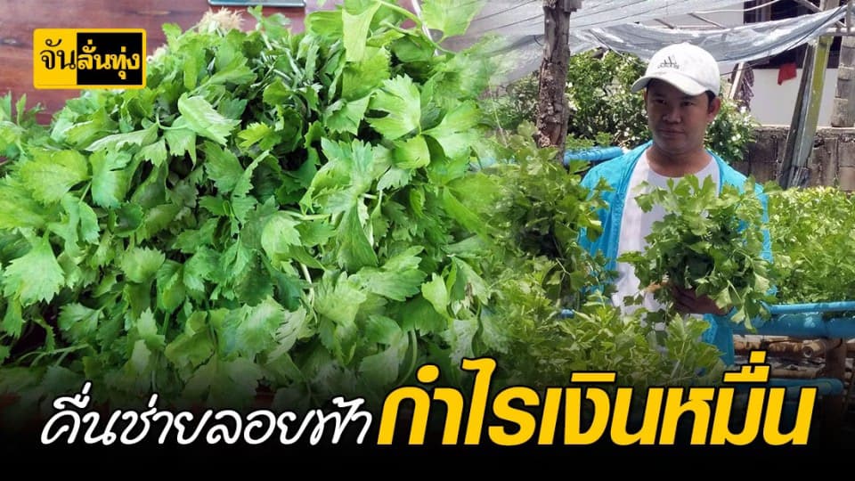 แค่อาชีพเสริม คื่นช่าย สร้างกำไรหลักหมื่น