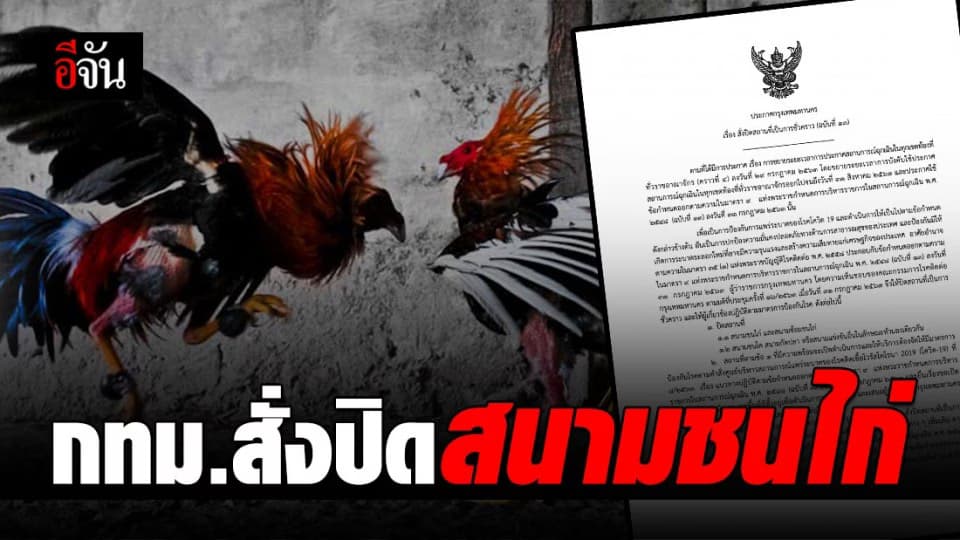 สั่งปิดสนามชนไก่ กทม. หวั่นระบาดรอบสอง รุนแรงกว่าเดิม