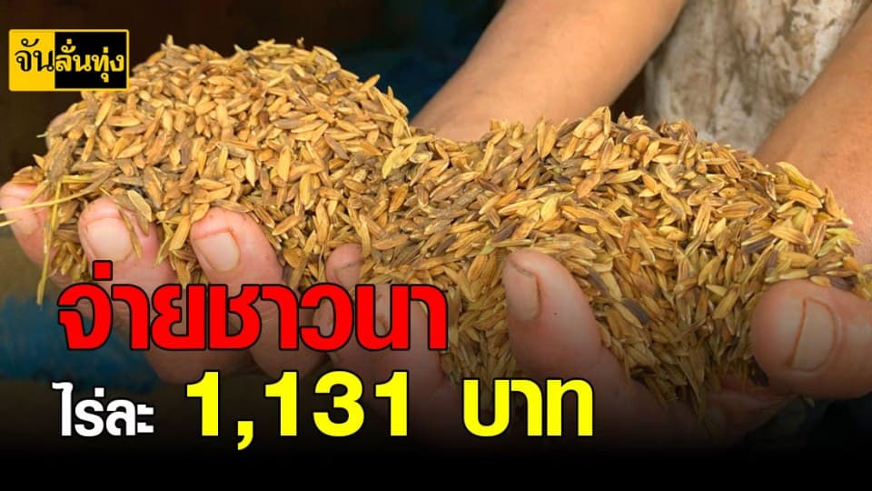 เร่งสำรวจเยียวยาความเสียหายเกษตรกรหลังน้ำลด