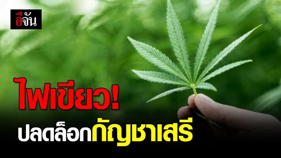 ครม. ปลดล็อกกัญชาเสรี เตรียมร่าง พ.ร.บ.ยาเสพติด ฉบับใหม่