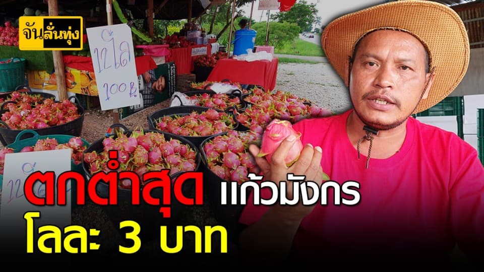 แก้วมังกรราคาต่ำสุดในรอบ 10 ปี