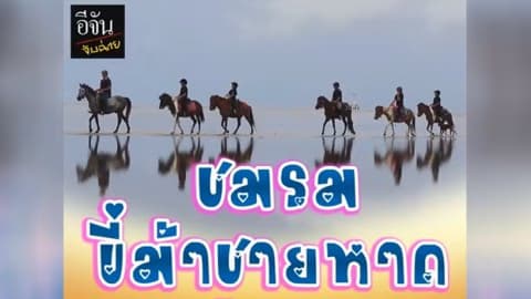 อีจันจับฉ่าย  ชมรมขี่ม้าชายหาดทุ่งคา
