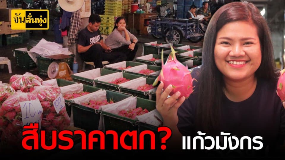 สืบราคาแก้วมังกรที่ตลาดไท