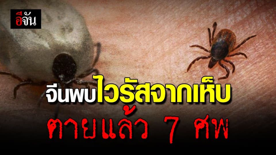 จีนผวาซ้ำ! ไวรัสใหม่มีเห็บเป็นพาหะ ดับแล้ว 7 ราย