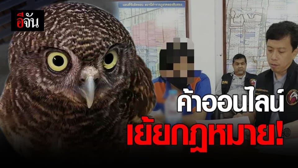 ไม่กลัวกฎหมาย! ชายโพสต์ขายสัตว์ป่าคุ้มครองผ่านเฟซบุ๊ก