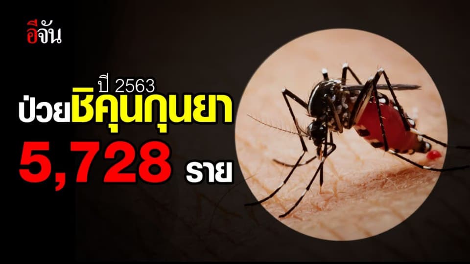 ระวัง! ชิคุนกุนยากำลังระบาด คนไทยป่วยแล้วเกือบ 6,000 ราย ภายในครึ่งปี
