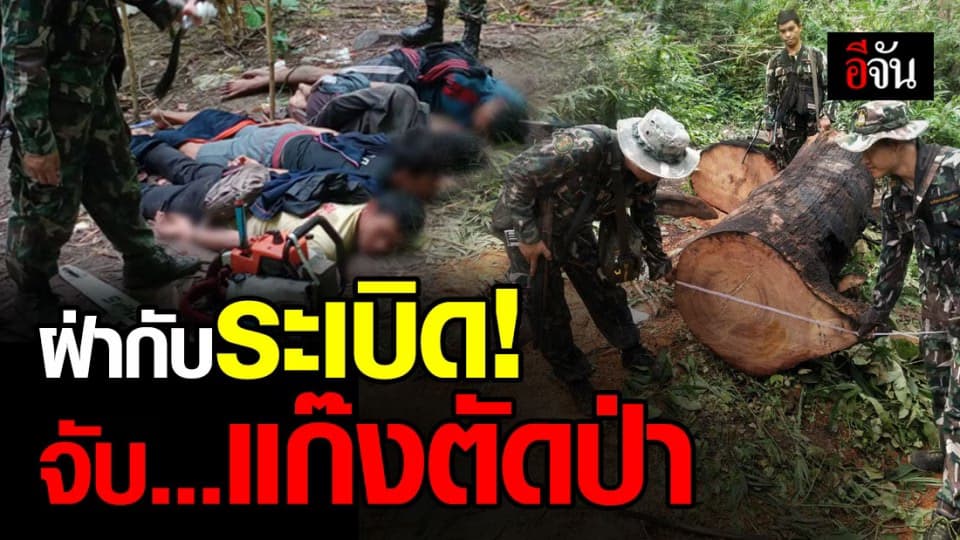 จนท. Smart patrol เขตรักษาพันธุ์สัตว์ป่ายอดโดม ฝ่ากับระเบิด บุกจับแก๊งตัดป่า