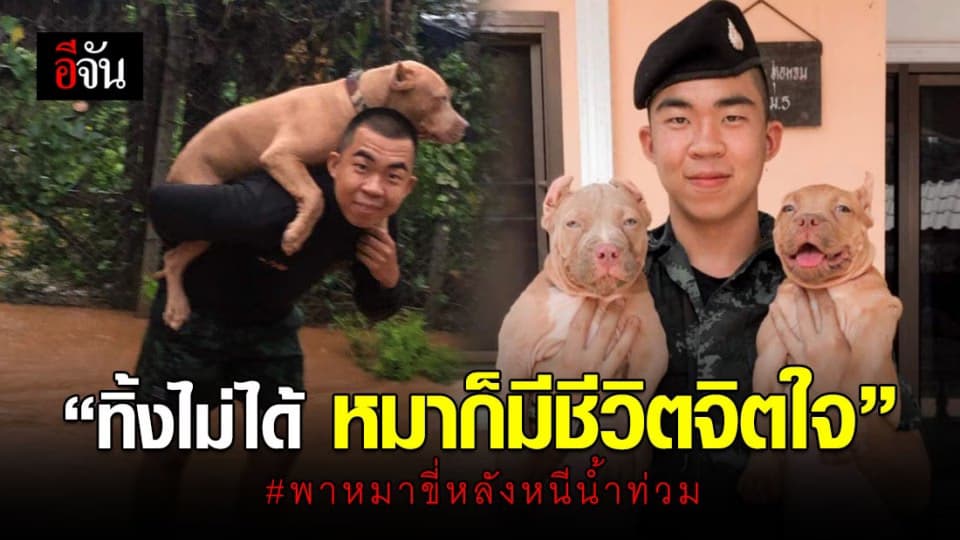 ล้วงหัวใจหนุ่มทหาร พาหมาขี่หลังหนีน้ำท่วม