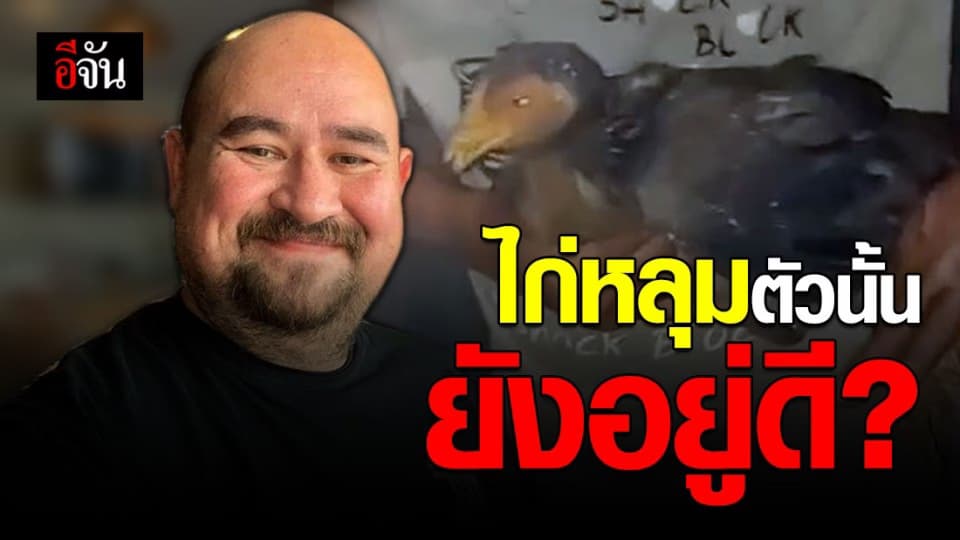 หม่อมถนัดแดก ออกโรงโชว์คลิป ไก่ยังอยู่ดี แค่ไก่นักแสดง?