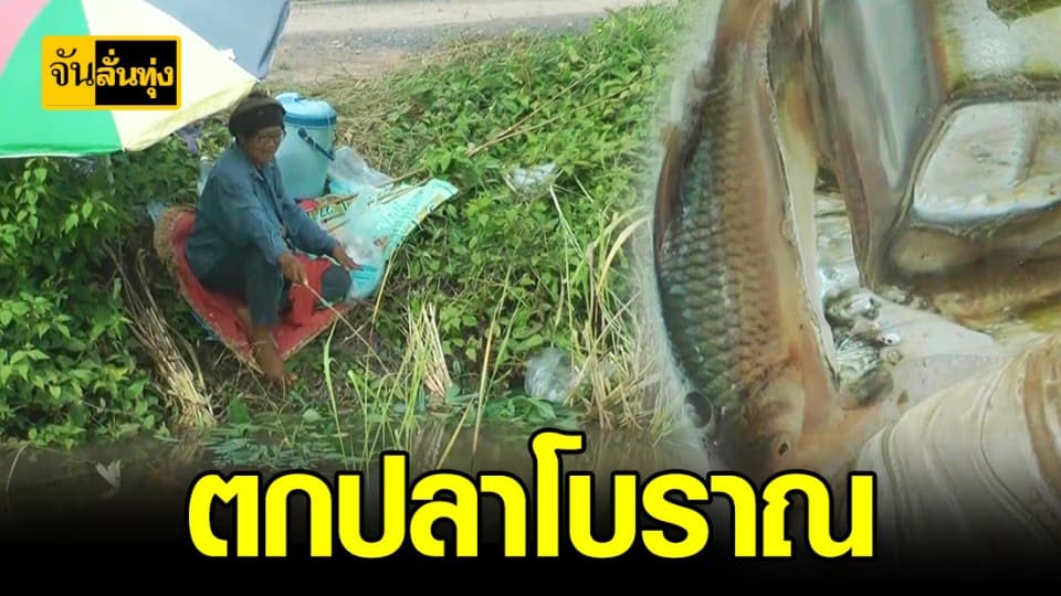 ตกปลาโบราณด้วยคันเบ็ดไม้ไผ่