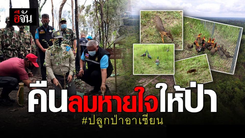 คืนลมหายใจให้ผืนป่า ! ไทย-กัมพูชา ร่วมปลูกป่าตามแนวชายแดน