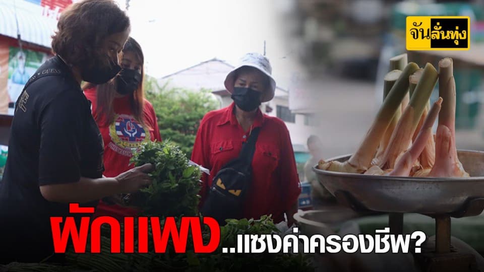 แม่ค้าตลาดท่าตูมโอด เเล้งหนักผักเเพง ลูกค้าหด