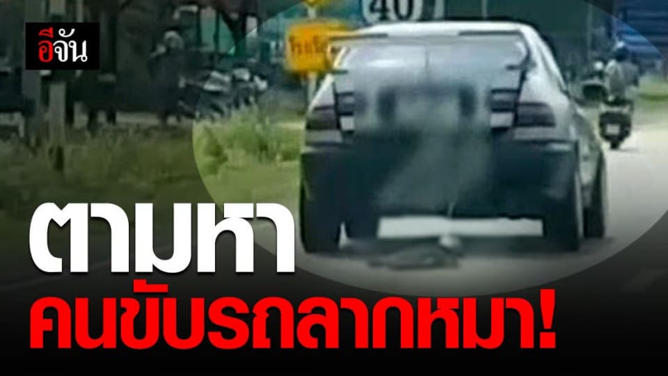 โซเชียลจวกยับ! คลิปมีคนขับรถลากหมาไปตามถนน ถามหาความเมตตา