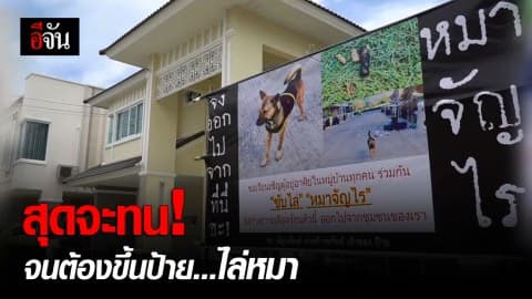 ขึ้นป้ายไล่หมาออกจากหมู่บ้าน แบบนี้ก็ได้เหรอ ?